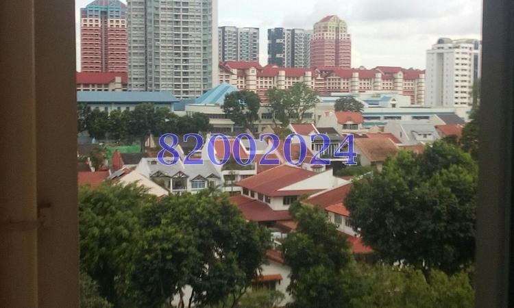 Blk 405 Sin Ming Avenue (Bishan), HDB 5 Rooms #121779512